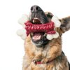 Kseroo Nylon Dog Chew Toy Tough Chewers Large Breed-1