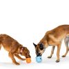 West Paw Durable Dog Chew Toy Interactive Treat Dispenser-6