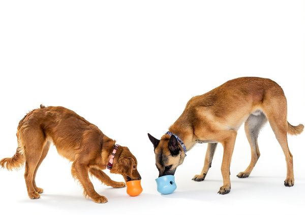 West Paw Durable Dog Chew Toy Interactive Treat Dispenser-6