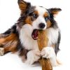 PetStages Dogwood Chew Toy Durable USA Made for Dogs-2