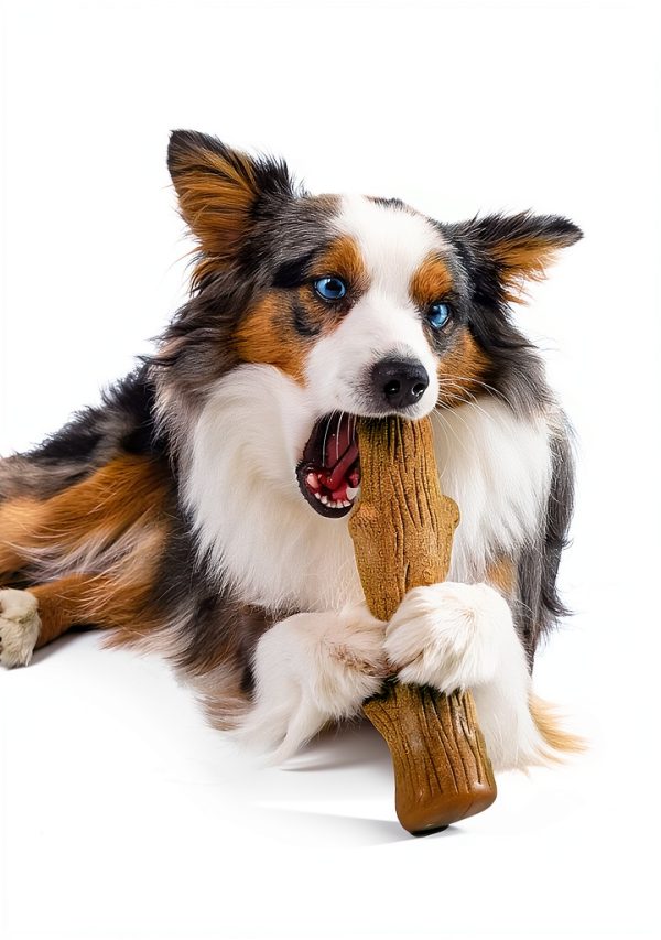PetStages Dogwood Chew Toy Durable USA Made for Dogs-2