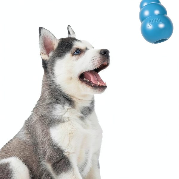 KONG Puppy Chew Toy Soft Rubber Fetch Play Training-6