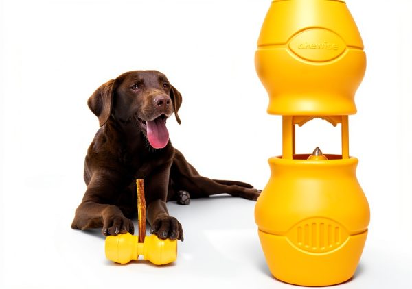 Chewise Bully Stick Holder PetClan Durable Nylon Dog Toy-1