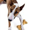Nylabone Dog Chew Toy Dental Health Durable Treat Pouch-7
