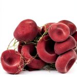 Pearson Clinical Laboratory Science Hematology Pathology-0