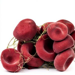 Pearson Clinical Laboratory Science Hematology Pathology-0
