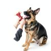 Kseroo Nylon Dog Chew Toy Tough Chewers Large Breed-3
