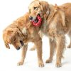 KONG Dog Chew Toy Natural Rubber Ring Durable Pet Supplies-1