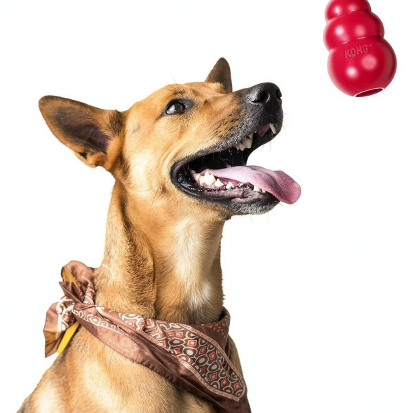 KONG Tug Toy Natural Rubber Dog Chew Interactive Play-5