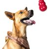 KONG Dog Chew Toy Natural Rubber Ring Durable Pet Supplies-5