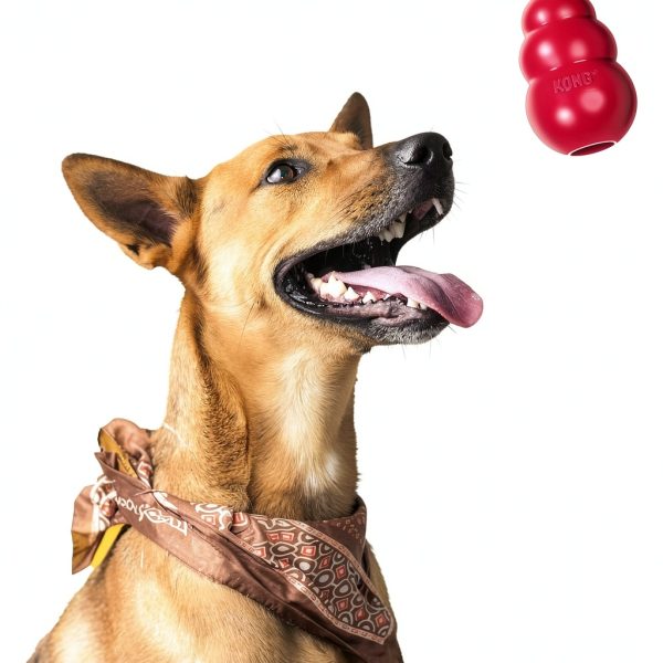 KONG Dog Chew Toy Natural Rubber Ring Durable Pet Supplies-5