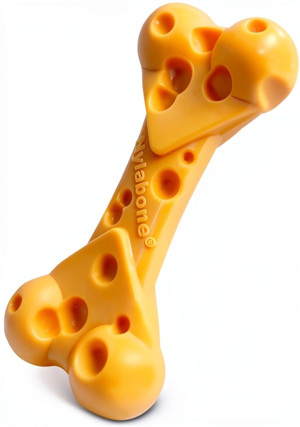 Nylabone Dog Chew Toy Dental Health Durable Treat Pouch-0
