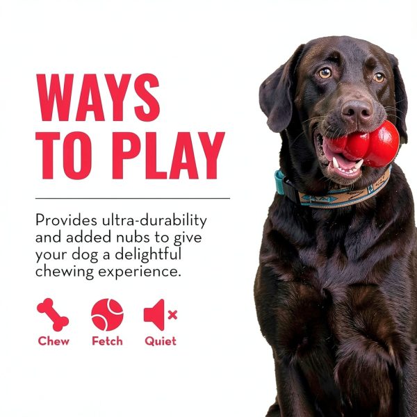 KONG Dog Chew Toy Natural Rubber Ring Durable Pet Supplies-4