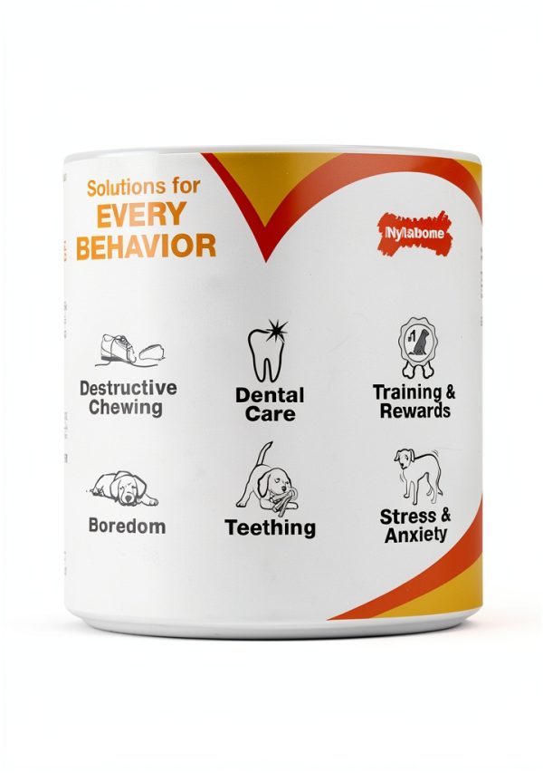 Nylabone Dog Chew Toy Dental Health Durable Treat Pouch-9