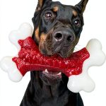 Kseroo Nylon Dog Chew Toy Tough Chewers Large Breed-0