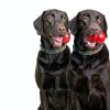 KONG Tug Toy Natural Rubber Dog Chew Interactive Play-4
