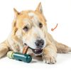 BullySafe Dog Chew Toy Holder Secure Chew Time Woof-5