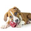 KONG Tires Durable Dog Chew Toy Natural Rubber-1