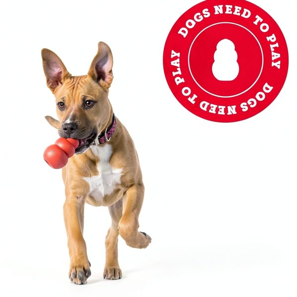 KONG Dog Chew Toy Natural Rubber Ring Durable Pet Supplies-7
