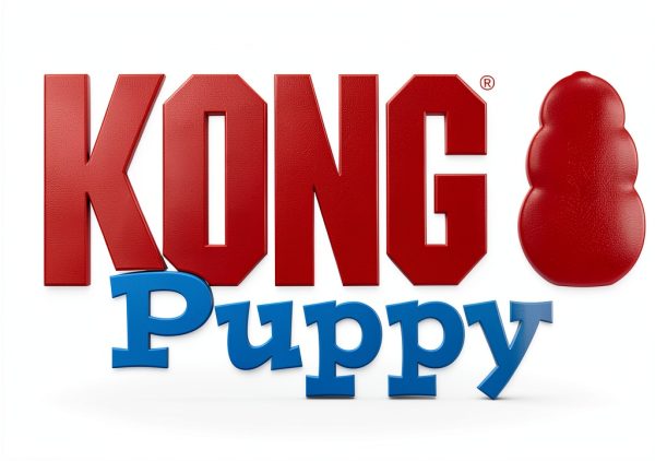 KONG Puppy Chew Toy Soft Rubber Fetch Play Training-9
