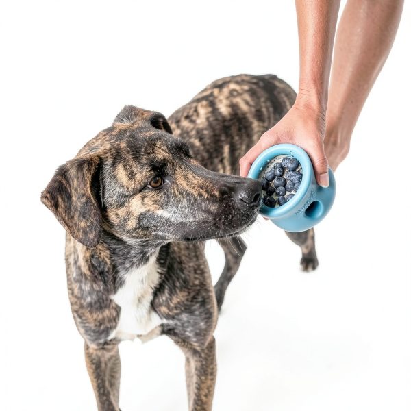West Paw Durable Dog Chew Toy Interactive Treat Dispenser-7