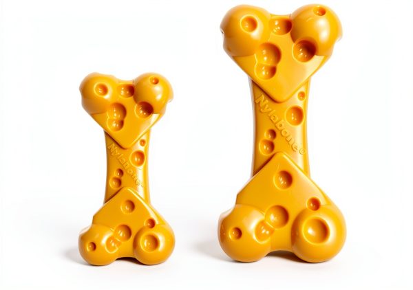 Nylabone Dog Chew Toy Dental Health Durable Treat Pouch-5