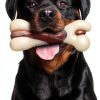 Tikaton Nylon Dog Chew Toy Beef Scent Durable Bone-0