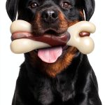Tikaton Nylon Dog Chew Toy Beef Scent Durable Bone-0