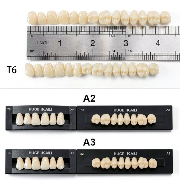 Dental Acrylic Resin Denture Teeth A3 T6 Resin 28pcs Set-1