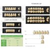 Dental Acrylic Resin Denture Teeth A3 T6 Resin 28pcs Set-2