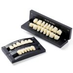 Dental Acrylic Resin Denture Teeth A3 T6 Resin 28pcs Set-0