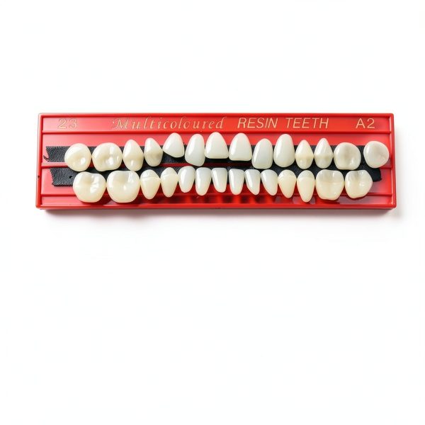 Nuanchu 280 Pcs False Teeth Acrylic Resin Denture Replacement Fake Teeth 10 Sets Denture Tooth Kit Upper Lower Dental Materials 23 A2 for Halloween DIY Dental Education Teeth Teaching Model-3