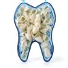 Dental Temporary Crown Kit Mixed Sizes Anterior 50pcs Impressive-0