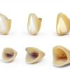 Dental Temporary Crown Kit Mixed Sizes Anterior 50pcs Impressive-4