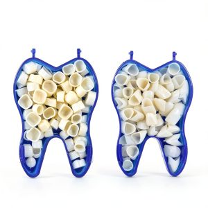 Dental Temporary Crown Kit Angzhili Anterior & Posterior Pack of 2-0