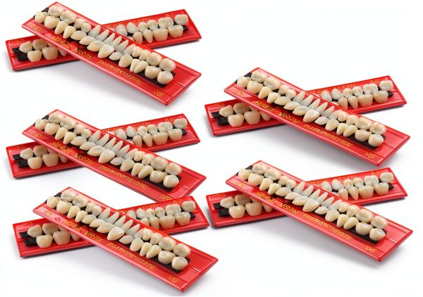 Nuanchu 280 Pcs False Teeth Acrylic Resin Denture Replacement Fake Teeth 10 Sets Denture Tooth Kit Upper Lower Dental Materials 23 A2 for Halloween DIY Dental Education Teeth Teaching Model-0
